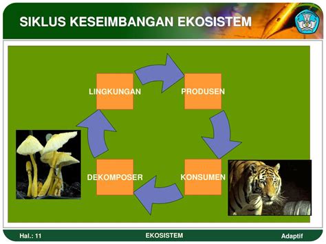 keseimbangan ekosistem